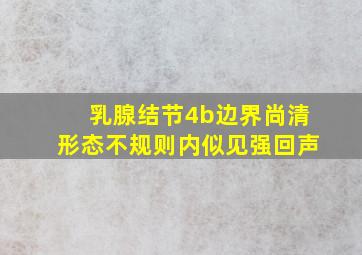 乳腺结节4b边界尚清形态不规则内似见强回声