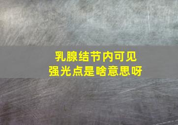 乳腺结节内可见强光点是啥意思呀