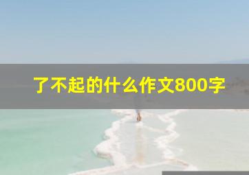 了不起的什么作文800字