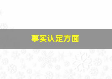 事实认定方面