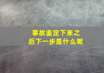 事故鉴定下来之后下一步是什么呢