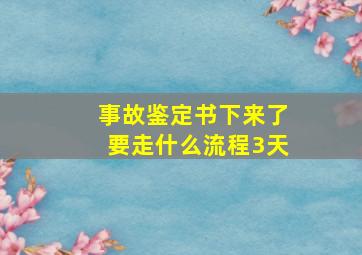 事故鉴定书下来了要走什么流程3天