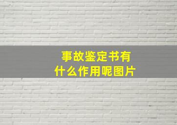 事故鉴定书有什么作用呢图片