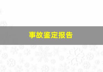 事故鉴定报告