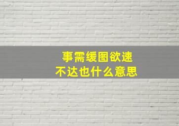 事需缓图欲速不达也什么意思