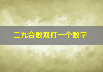 二九合数双打一个数字