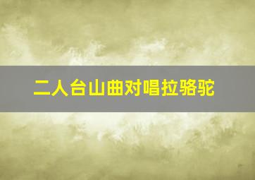 二人台山曲对唱拉骆驼