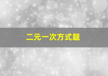 二元一次方式题