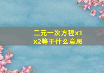 二元一次方程x1x2等于什么意思