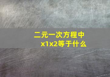 二元一次方程中x1x2等于什么