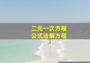 二元一次方程公式法解方程