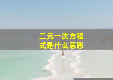 二元一次方程式是什么意思