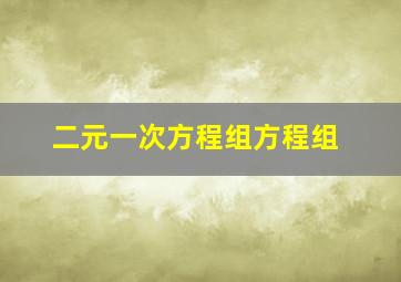 二元一次方程组方程组