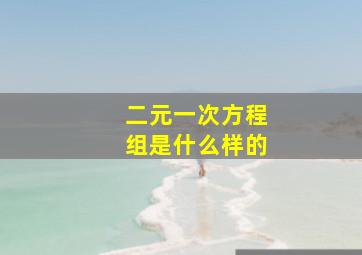 二元一次方程组是什么样的