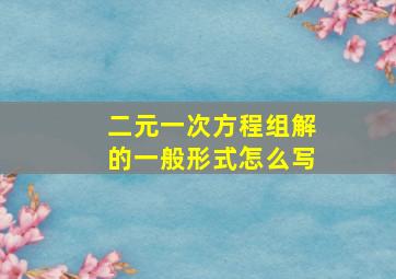 二元一次方程组解的一般形式怎么写