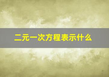 二元一次方程表示什么