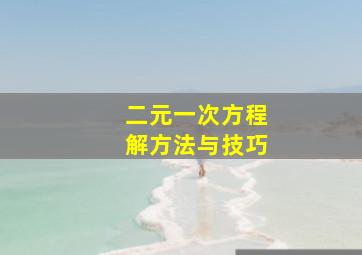 二元一次方程解方法与技巧