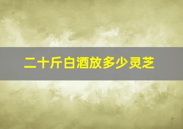 二十斤白酒放多少灵芝