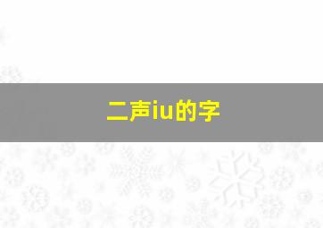 二声iu的字