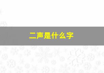 二声是什么字