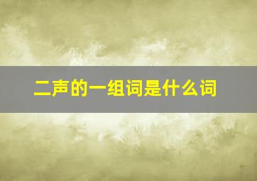 二声的一组词是什么词