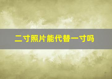 二寸照片能代替一寸吗