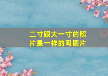 二寸跟大一寸的照片是一样的吗图片