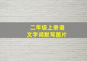 二年级上册语文字词默写图片