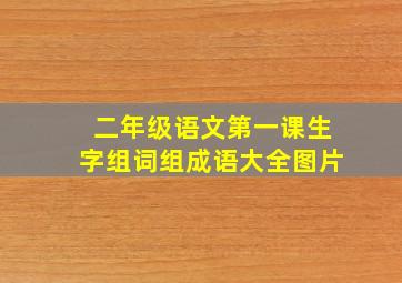 二年级语文第一课生字组词组成语大全图片