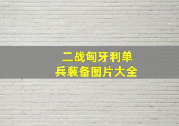 二战匈牙利单兵装备图片大全