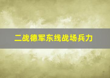 二战德军东线战场兵力