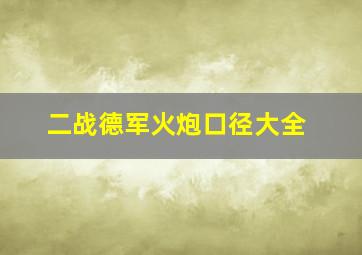 二战德军火炮口径大全