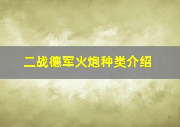 二战德军火炮种类介绍