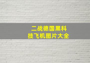 二战德国黑科技飞机图片大全