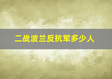 二战波兰反抗军多少人