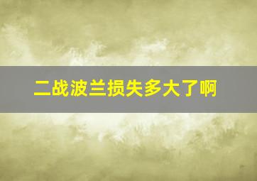 二战波兰损失多大了啊