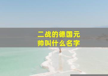 二战的德国元帅叫什么名字