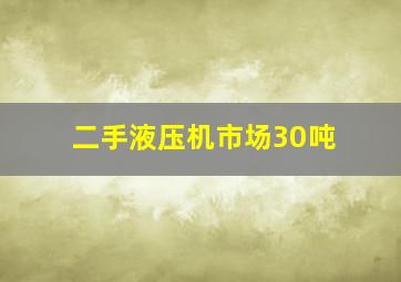 二手液压机市场30吨