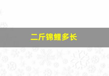 二斤锦鲤多长