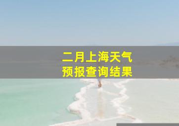 二月上海天气预报查询结果