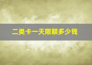 二类卡一天限额多少钱