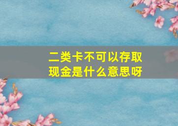 二类卡不可以存取现金是什么意思呀