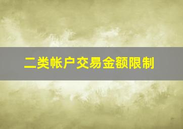 二类帐户交易金额限制