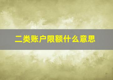 二类账户限额什么意思