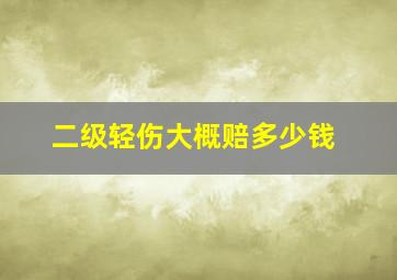 二级轻伤大概赔多少钱