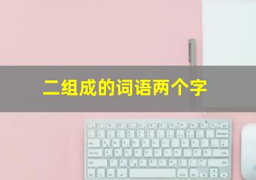 二组成的词语两个字