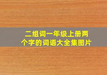 二组词一年级上册两个字的词语大全集图片