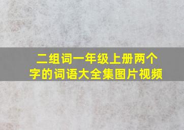 二组词一年级上册两个字的词语大全集图片视频