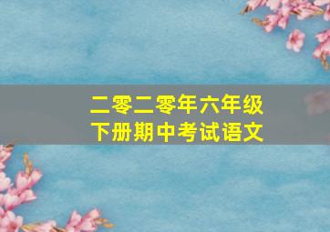 二零二零年六年级下册期中考试语文