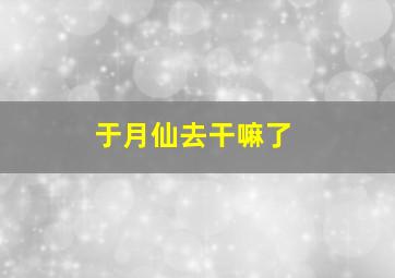 于月仙去干嘛了